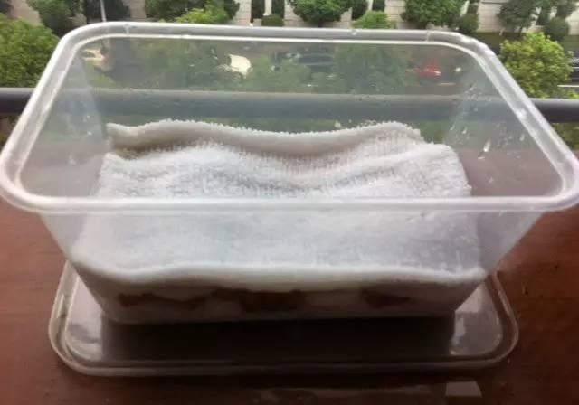 1541216391921822.jpg 4.jpg